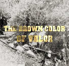 The Brown Color of Valor